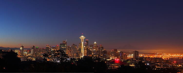 Space Needle at night thumbnail