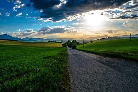 green grass field thumbnail