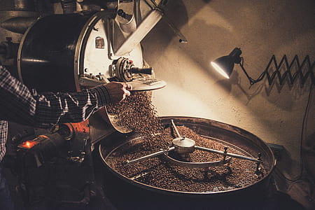 person grinding coffee using machine thumbnail