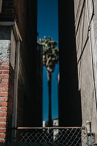 brown and gray cyclone fence between concrete buildings thumbnail