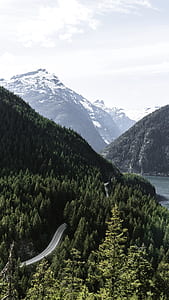 landscape photography of mountains full of trees thumbnail
