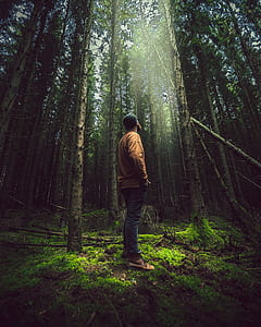 man standing near trees during daytime thumbnail