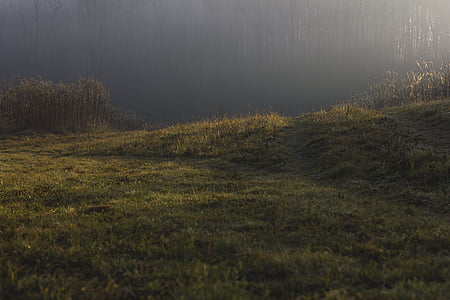 grass field thumbnail
