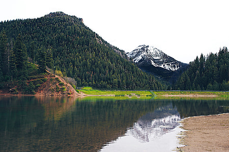 body of water distance with trees and mountain during daytime thumbnail