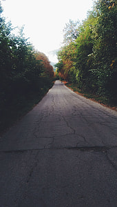 gray concrete road between green trees under white sky at daytime thumbnail