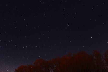 stars in worm's eye view thumbnail