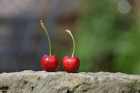 focus photo of two cherries thumbnail