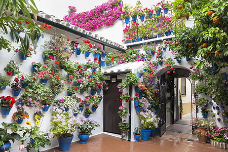 house surrounded by flowers thumbnail