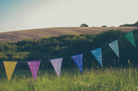 multicolored buntings above the green grass field thumbnail