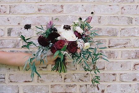 white and red flowers thumbnail