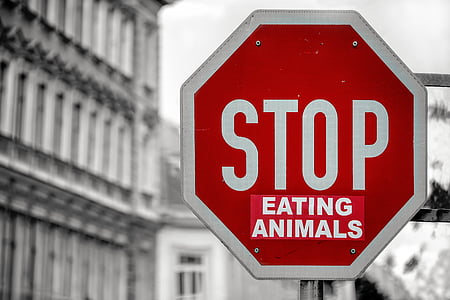 Stop eating animals road signage thumbnail