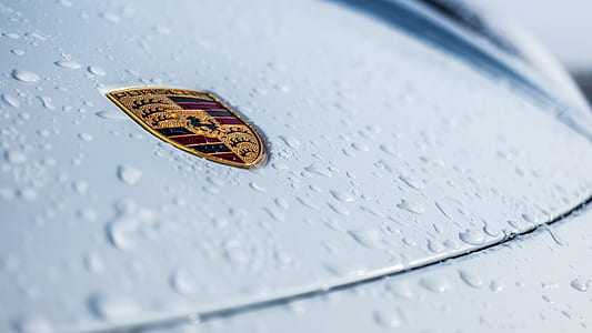 close-up photo of gray Lamborghini vehicle with dew thumbnail