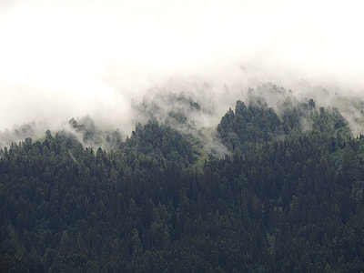 green mountains thumbnail