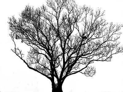 brown tree illustration thumbnail