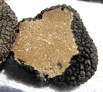 brown and black stone fragment thumbnail