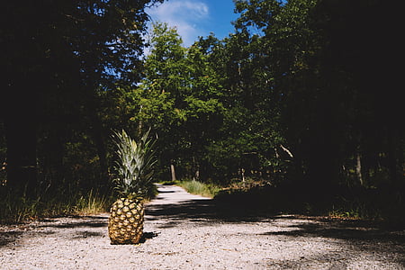 pineapple fruit on dirt road thumbnail