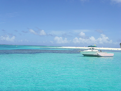 two white motorboat and cabin motorboat on body of water thumbnail
