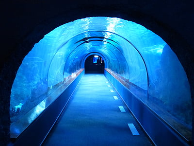 photo of water tunnel thumbnail