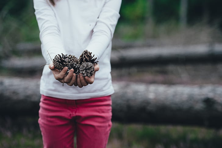 woman holding dry plants