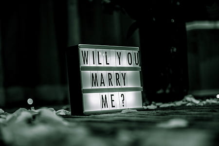 shallow focus photography of will you marry me neon light signage thumbnail