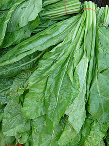 pile of green vegetables thumbnail