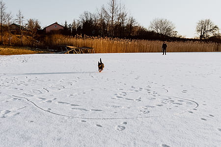 In middle of frozen lake thumbnail