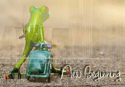 frog pulling luggage figurine with new beginning text overlay thumbnail