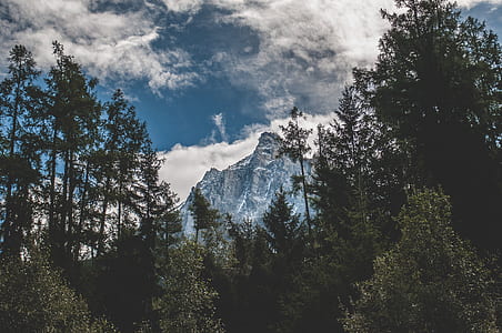 mountains near forest thumbnail