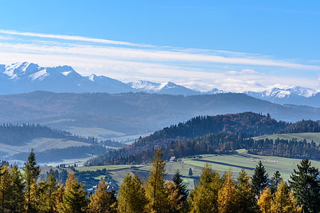 aerial photography of trees on hill under blue sky thumbnail