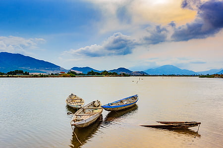 four brown rowboats on water during daytime thumbnail