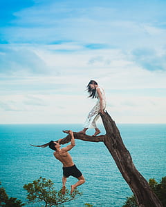 woman on top of tree trunk and man climbing on it thumbnail