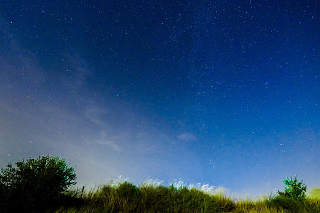 photo of silhouette of a grass under blue sky with stars thumbnail