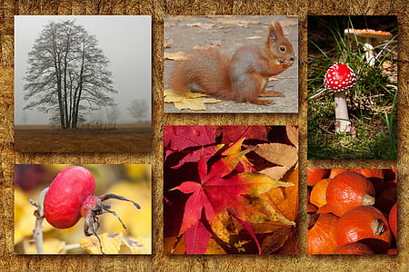 six assorted wall arts thumbnail