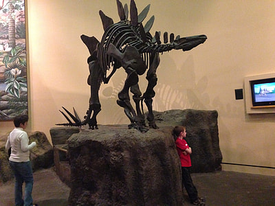black dinosaur skeleton inside room thumbnail
