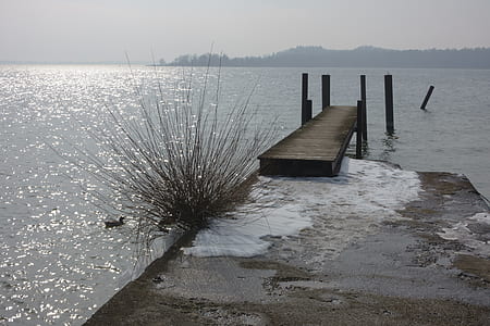 bridge dock on body of water thumbnail