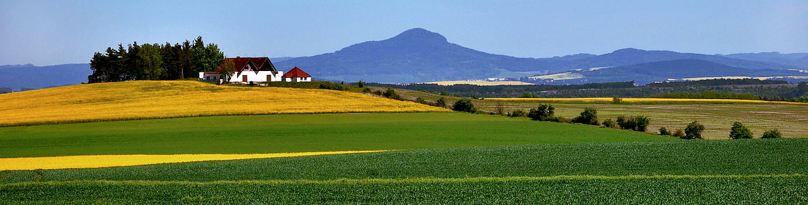 green grass field thumbnail