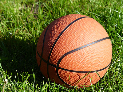 basketball on green grass thumbnail