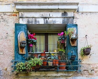 assorted plants on terrace thumbnail