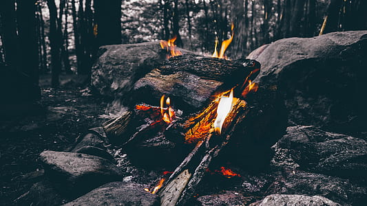 lit firewood near stones thumbnail