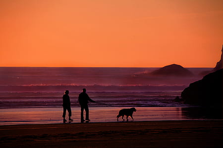 silhouette photo of two people walking beside the beach with dog thumbnail