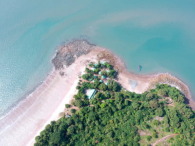 bird's eye photo of trees near seashore thumbnail