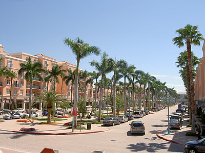 Mizner Park with palm trees in Boca Raton, Florida thumbnail