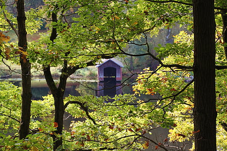 boat shed at the lake during day thumbnail