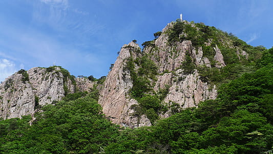 mountain and tree at daytime thumbnail