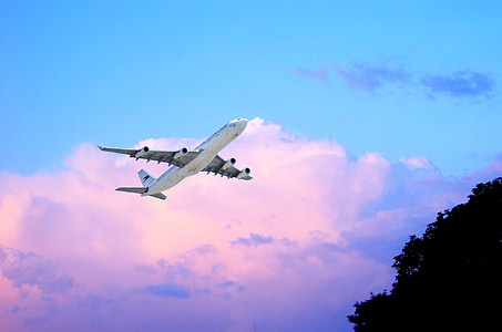 white airliner flying over tall green tree during daytime thumbnail