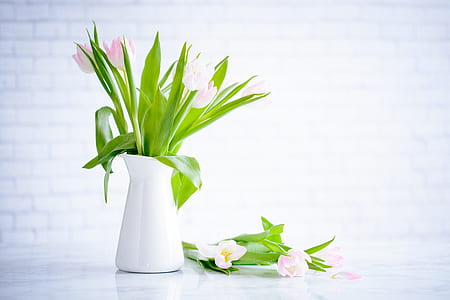 tulips on vase thumbnail