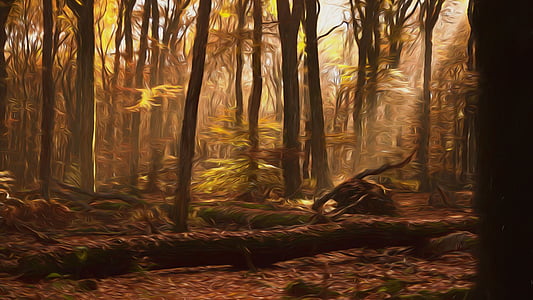 brown trees during sunrise thumbnail