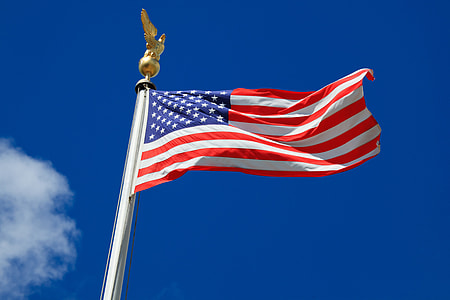 flag of USA thumbnail