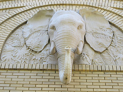 gray elephant head embossed wall thumbnail