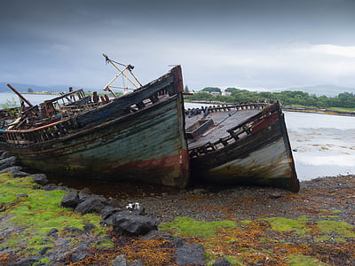 two brown and green dock near shoreline thumbnail